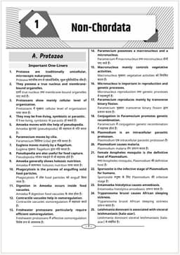 UP TGT & PGT Exam: Biology Guide Book By Dr. Neelam Sharma | One Liner Facts | Questions with Detailed Solutions | Mind Maps | NCERT Based Questions | Bilingual Edition thumbnail 5