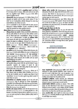 UP Lekhpal Exam-2025 Computer, Science Technology & DI Guide Book thumbnail 5
