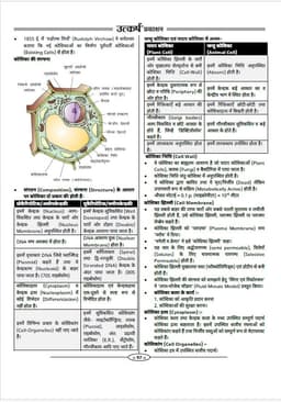UP Constable Exam-2025 by Kumar Gaurav Sir thumbnail 5