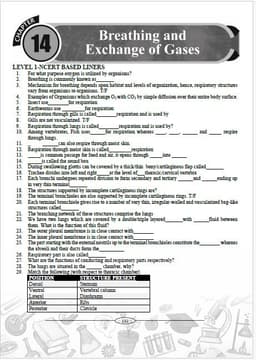 NEET Question Booklet with Solution | Biology Blitz Volume 1 : Class 11th |  PYQ  Re-NEET 2026  NEET 2025 - 2026 Best Comprehensive Practice Book with Chapterwise Weightage Analysis thumbnail 7